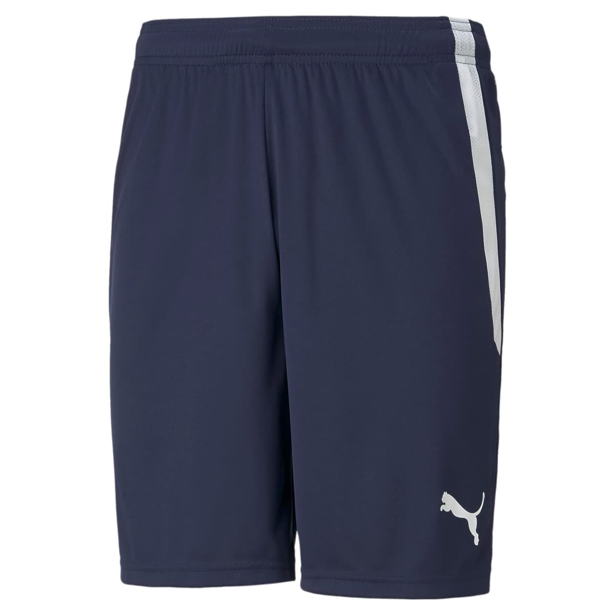 Puma Teamliga Shorts - Pantalones Cortos Hombre — view 10