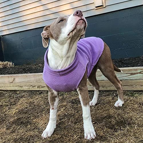 Gooby Stretch Fleece Dog Vest - Lavendar, Large — view 5
