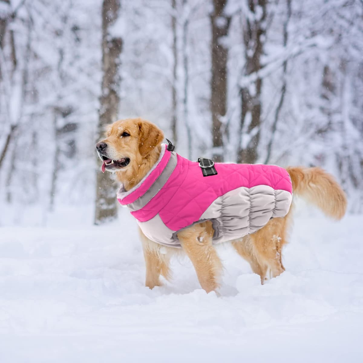 Lelepet Dog Coat Warm Dog Winter Coat Waterproof Dogs Jacket with Harness Built in Reflective Pet Fleece Vest Zip-Up Cold Weather Coats for Large Dogs Turtleneck & Windproof Coats Boston Terrier L — view 5