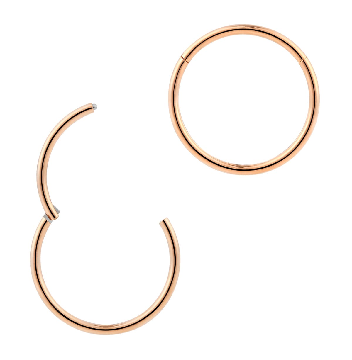 365 SLEEPERS 1pc Titanium Implant Grade Nose Rings 20G 18G 16G 14G 12G 10G 8G 6G Septum Hinged Segment Ring Body Piercing Jewellery Hoop Lip Rings Helix Cartilage Rook Earrings Nickel Free