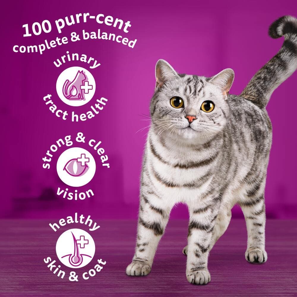 WHISKAS Adult Dry Cat Food 7kg with Chicken — view 4