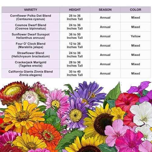 Seed Needs Garden Flower Seeds Large Blooms Mix 1 Ounce Heirloom Bulk Pack — view 6