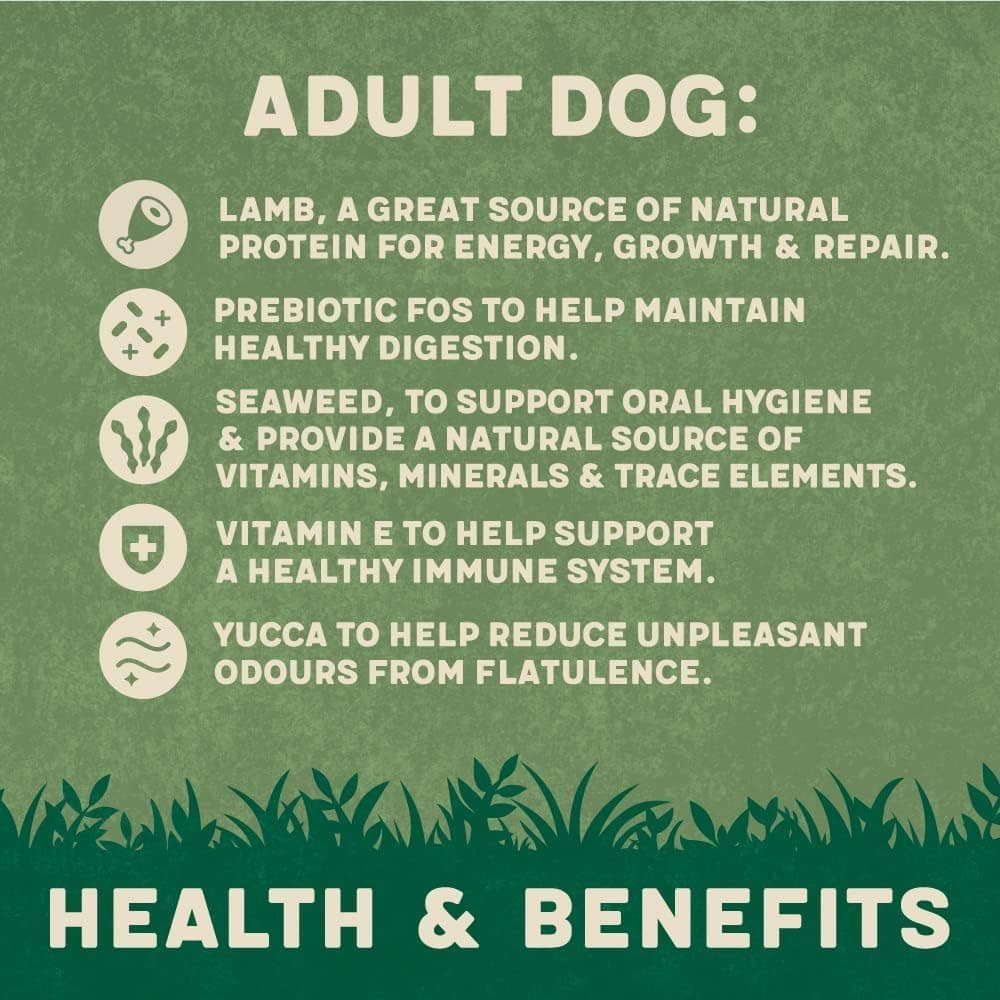Harringtons Complete Dry Adult Dog Food Lamb & Rice 15kg - Made with All Natural Ingredients (Packaging may vary) — view 8
