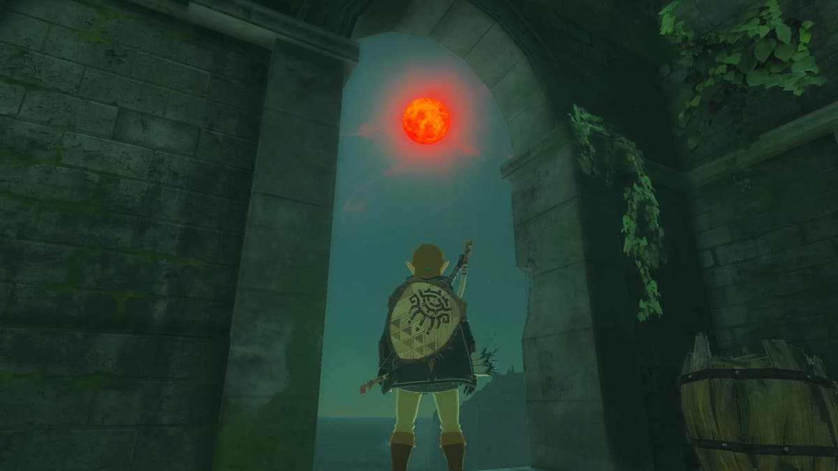 The Legend of Zelda: Tears of the Kingdom — view 3
