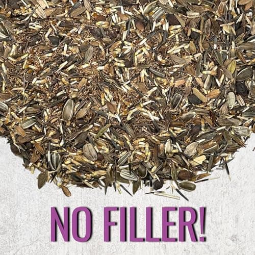 Seed Needs Garden Flower Seeds Large Blooms Mix 1 Ounce Heirloom Bulk Pack — view 4
