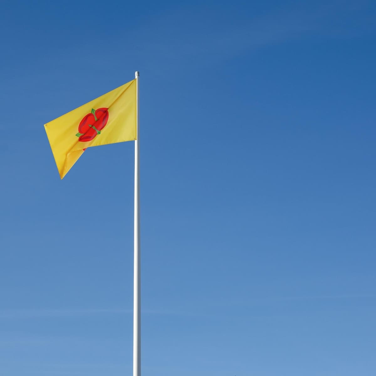 Runesol Cornwall Flag - 91x152cm, 3ft x 5ft, Cornish Flag, 4 Grommets, Eyelet in Every Corner, Premium Quality, Inside & Outside Use, Vivid Colours — view 390