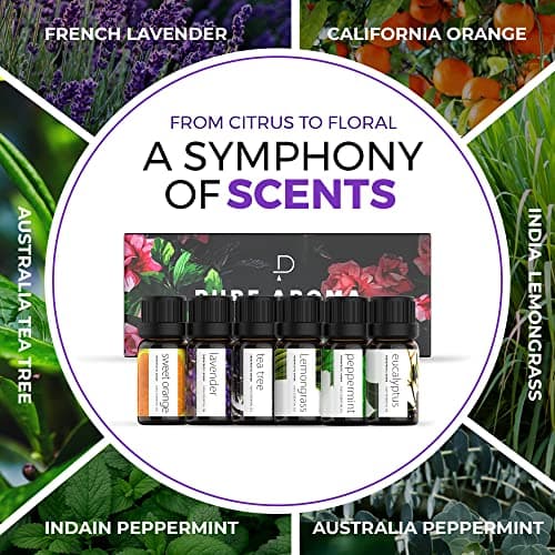PURE AROMA Essential oils 100% Pure Therapeutic Grade Oils kit- Top 6 Aromatherapy Oils Gift Set-6 Pack, 10ML(Eucalyptus, Lavender, Lemon grass, Orange, Peppermint, Tea Tree) — view 3
