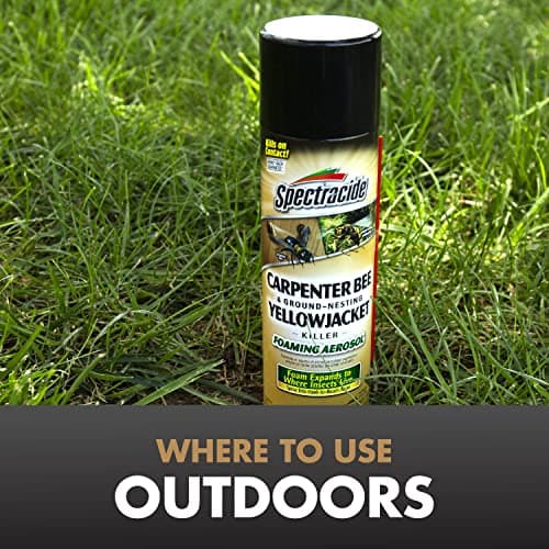 Spectracide Carpenter Bee And Ground-Nesting Yellowjacket Killer Foaming Aerosol 16 Ounces, Expands To Where Insects Live, Yellow — view 5