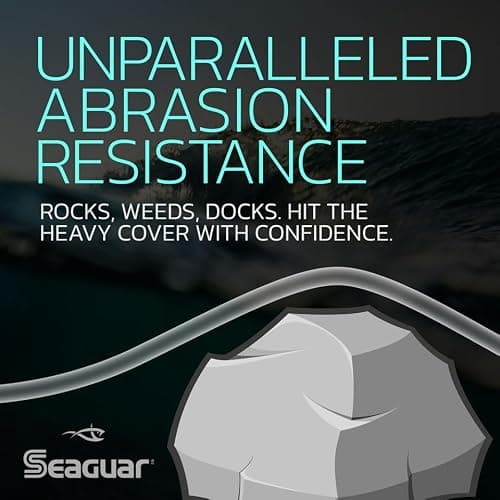 Seaguar STS Trout & Steelhead, Strong and Highly Abrasion Resistant, Premium, 100% Fluorocarbon Performance Leader Material, Virtually Invisible, Clear, 8lb 100yd — view 2