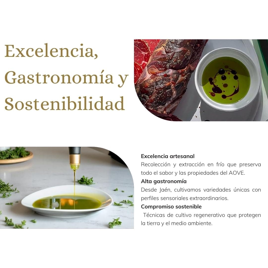 Verde Esmeralda Aceite de Oliva Virgen Extra Picual Imagine – Edición Especial España-Jaén, 500ml | AOVE monovarietal filtrado Sierra de Cazorla, afrutado intenso, oliva verde, tomate y almendra — view 4