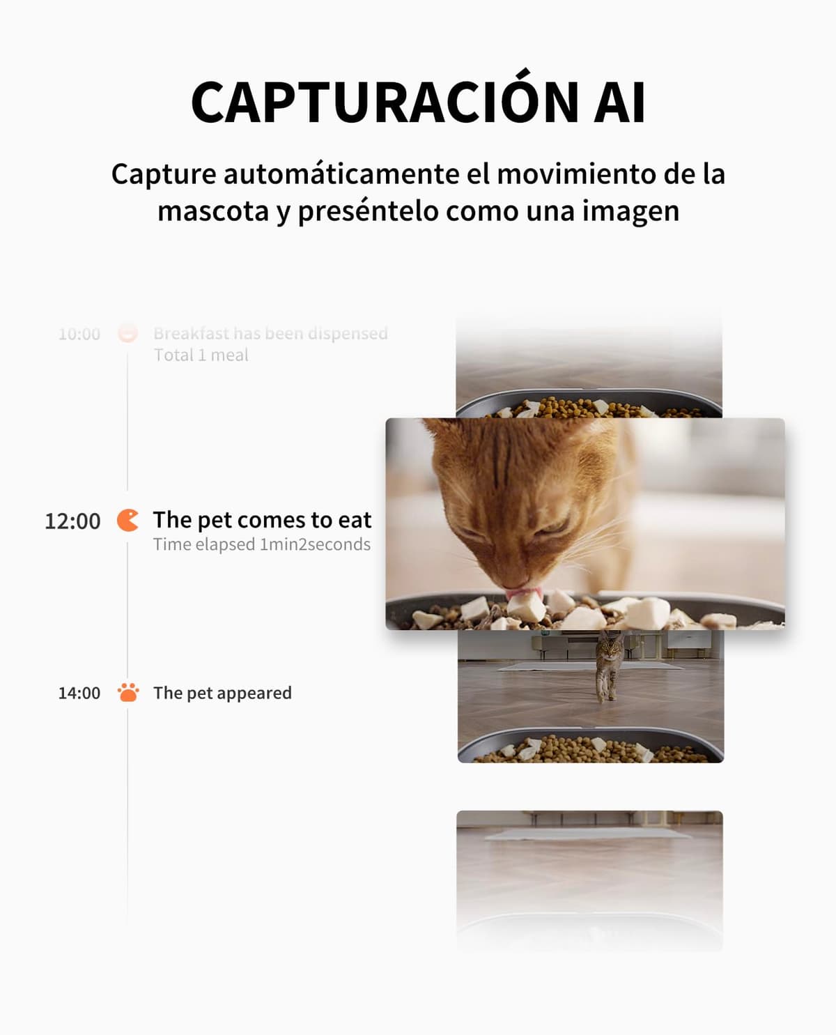 PETKIT Automatic Cat Feeder with Camera, 5L Double Hopper Dispenser Food Cats/Dogs, 1080P HG, AI Function, 2.4G WiFi, Two-Way Audio, App Control, Stainless Steel Bowl — view 3