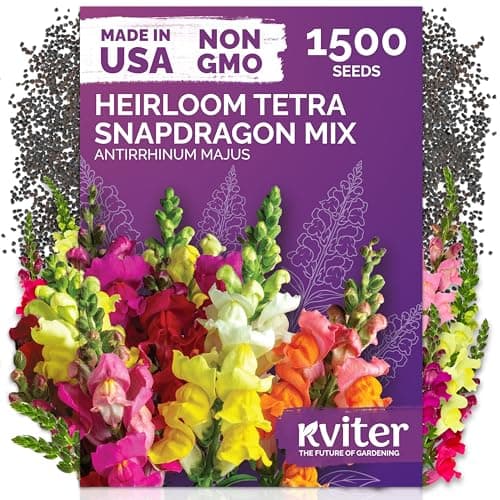 KVITER 1,500 Tetra Mix Snapdragon Seeds (Antirrhinum Majus) – Heirloom & Tall Snap Dragon Mix, Annual Flower Garden Seeds, Cut Flower Seeds for Planting – Ideal for Outdoor Garden & Containers