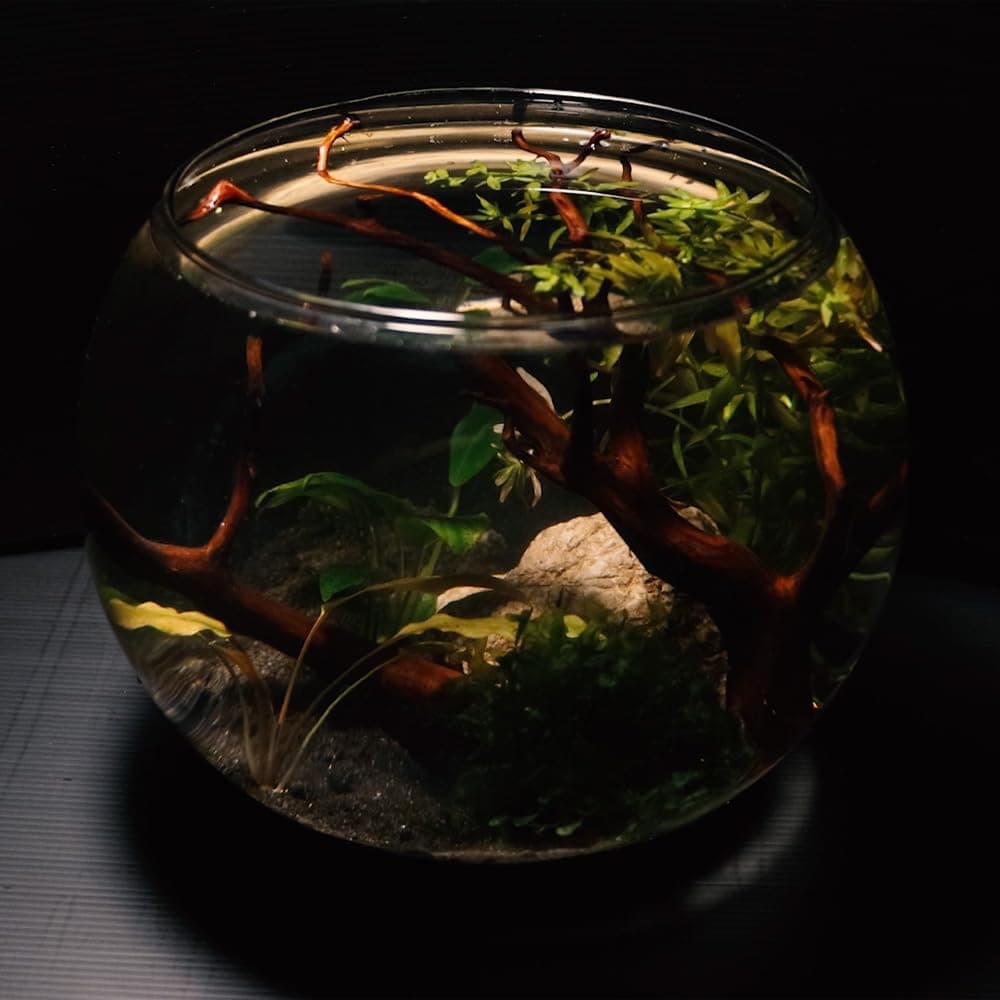 WAVE Crystal Globe Blown Glass 25 — view 5