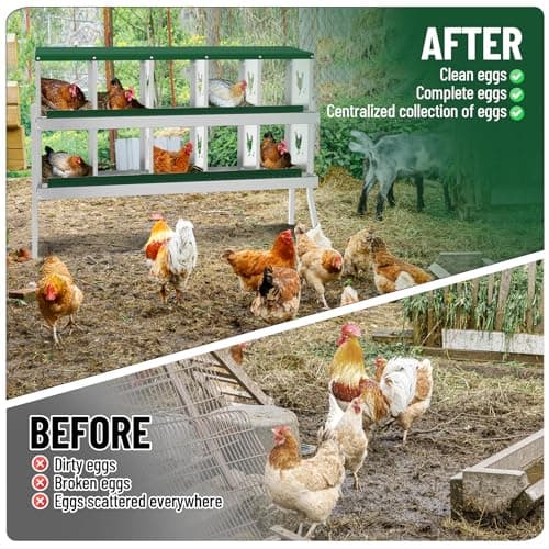 GarveeLife 8 Holes Chicken Nesting Box with Metal Leg, Wall-Mounted & Floorstanding Galvanized Steel Nesting Boxes for Chickens Ducks Geese, Easy to Collect Eggs, for Backyard Farm, Green — view 5