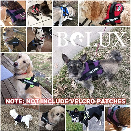 Bolux Dog Harness, No-Pull Reflective Dog Vest, Breathable Adjustable Pet Harness with Handle for Outdoor Walking - No More Pulling, Tugging or Choking (Blue, S) — view 6