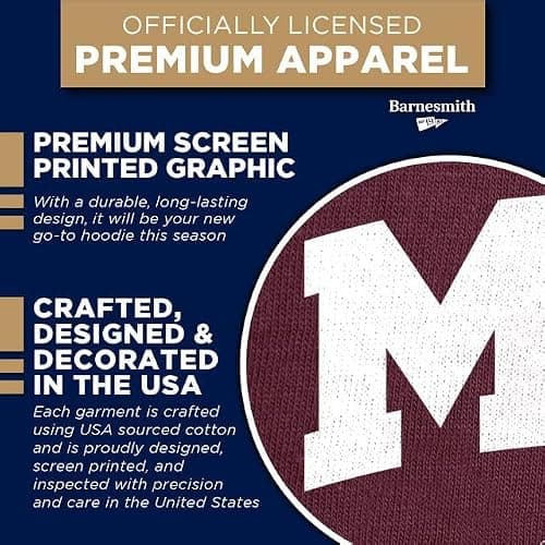 Barnesmith MIT Hooded Sweatshirt, Heritage, Maroon, Large — view 3