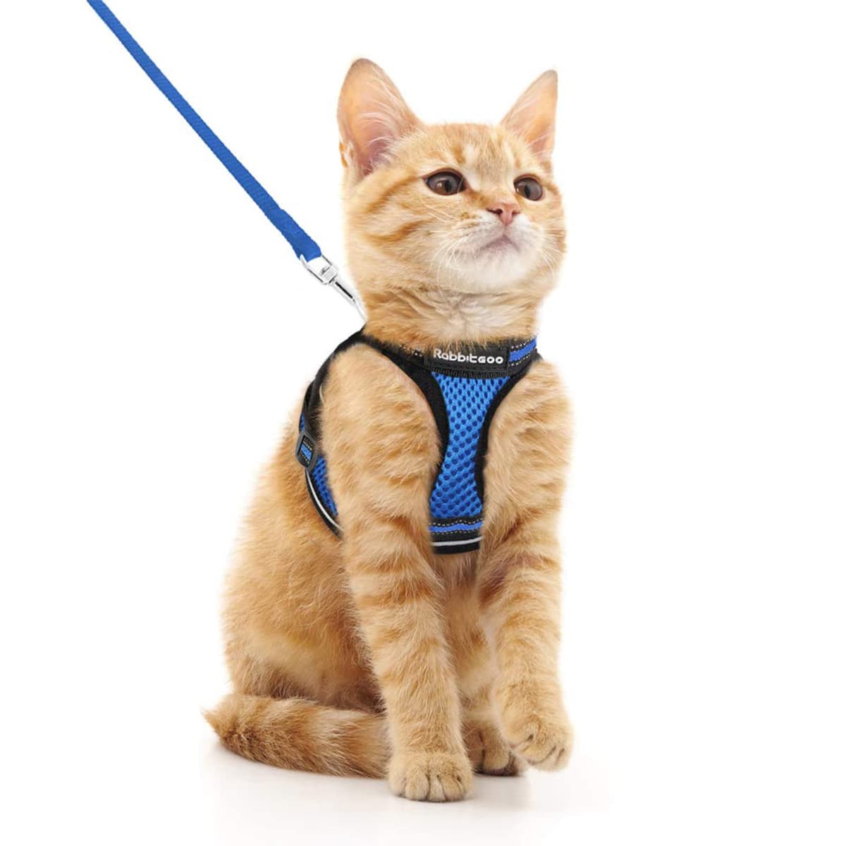 rabbitgoo Cat Harness and Leash Set for Walking Escape Proof, Adjustable Soft Kittens Vest with Reflective Strip for Cats, Comfortable Outdoor Vest, Black, Small — view 20