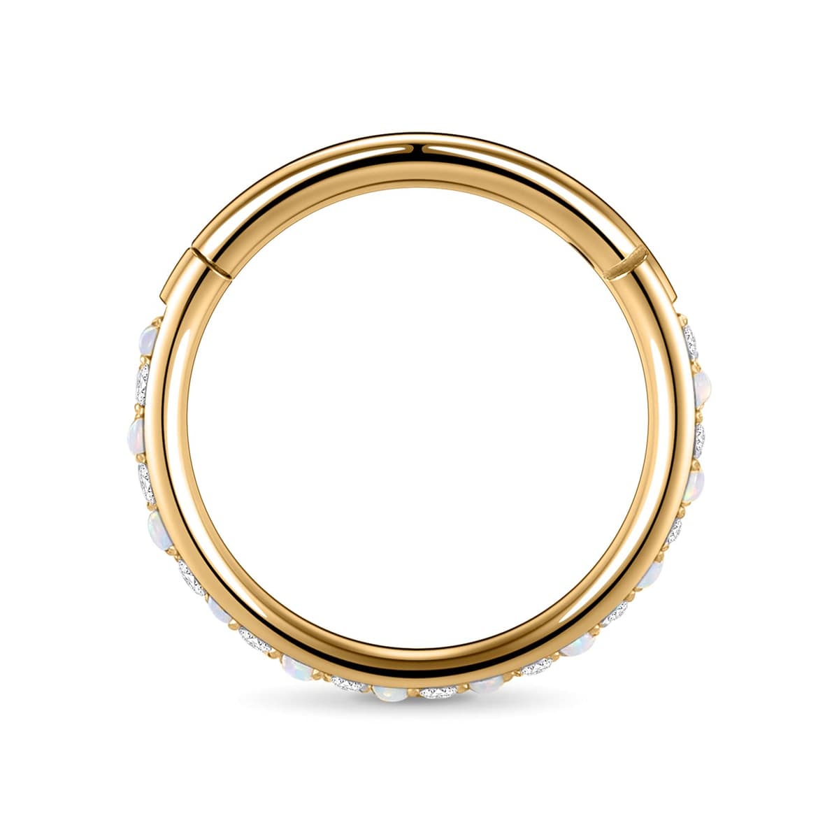 AROWRO 20G 18G 16G 14G CZ Nose Septum Rings Cartilage Conch Earring Hoop 316L Surgical Steel Conch Daith Helix Tragus Piercing Jewelry Septum Clicker for Women Men — view 5
