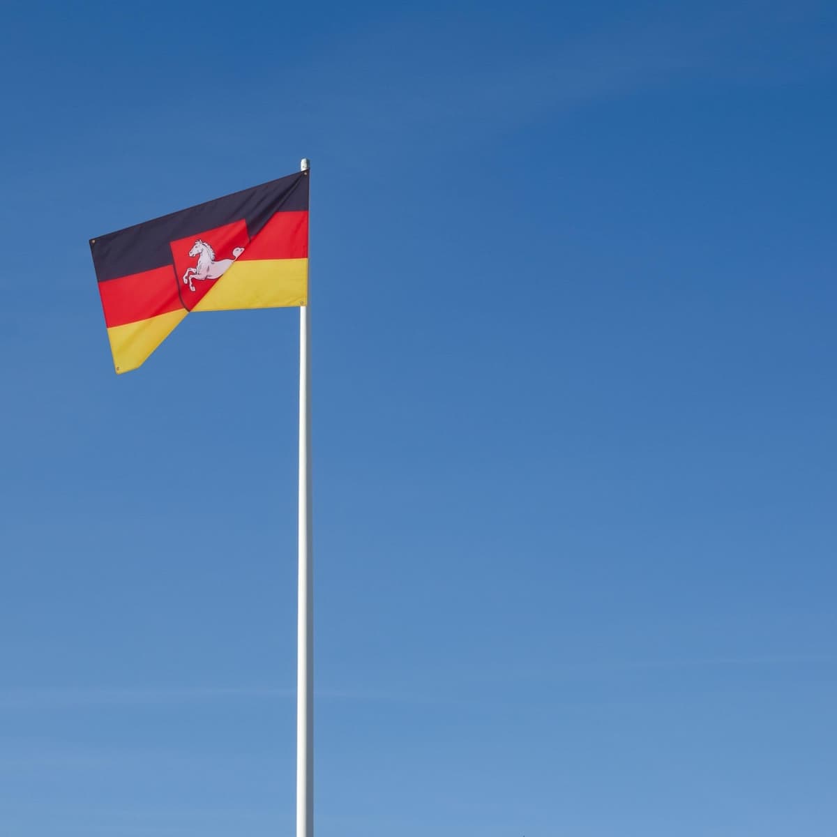 Runesol Cornwall Flag - 91x152cm, 3ft x 5ft, Cornish Flag, 4 Grommets, Eyelet in Every Corner, Premium Quality, Inside & Outside Use, Vivid Colours — view 743