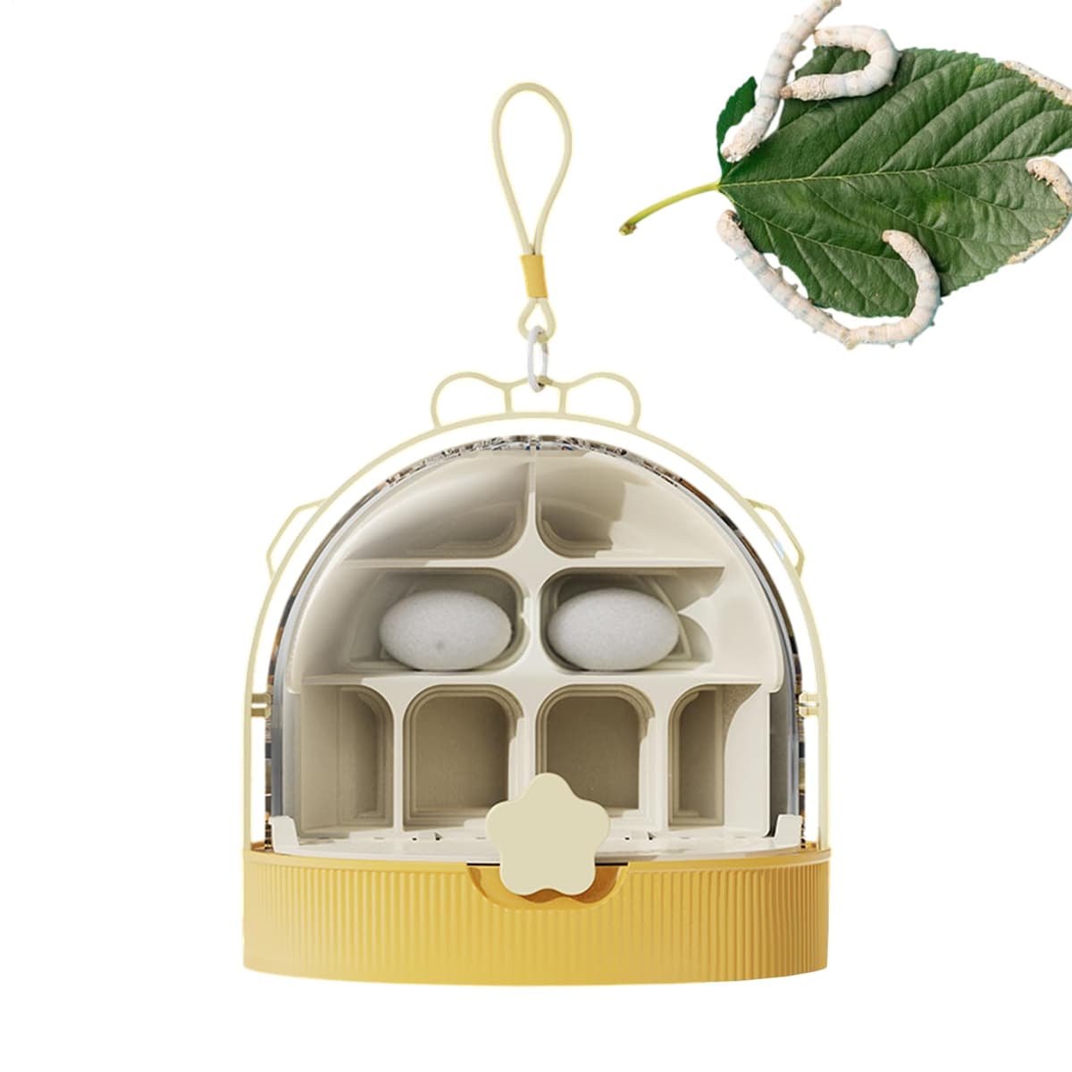 De Cría De Seda – Contenedor De Crianza De Observación De Insectos, Hábitat Transparente para | Insectos Educativos, Estuche De Crianza De Caracoles Mariposas, Vivarium Mascota — view 5