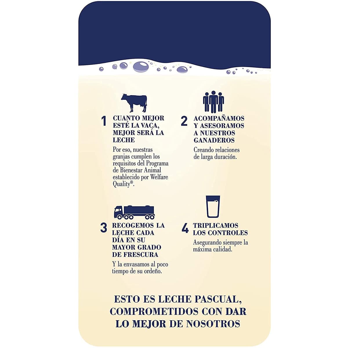 Leche Pascual - Leche Entera - Bienestar Animal - Pack 6 x 1L - Ideal para niños y adultos, Producto Natural y Saludable — view 9
