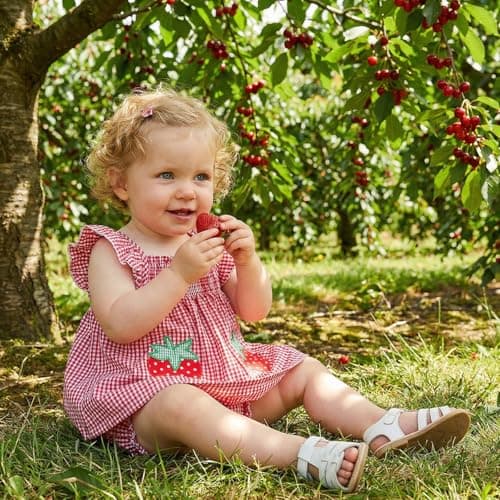 Baby Girl Summer Clothes Strawberry Cherry Ruffle Dress Tops Shorts Sets Bow Flower Bloomers Infant Newborn Outfit (03 Strawberry Red, 12-18 Months) — view 2