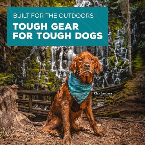 Wilderdog Dog Bandana with Lightweight Quick Drying Poly-Blend Mesh Material in Cowpoke — view 4