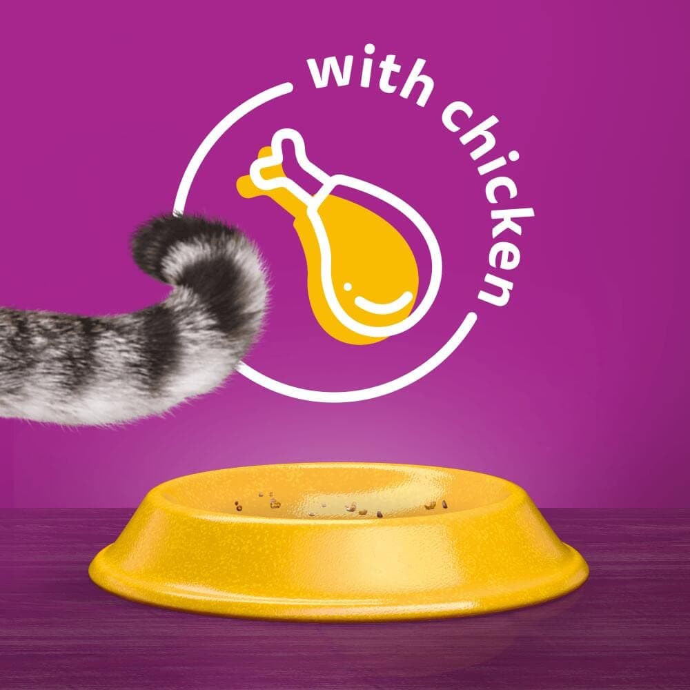 WHISKAS Adult Dry Cat Food 7kg with Chicken — view 9