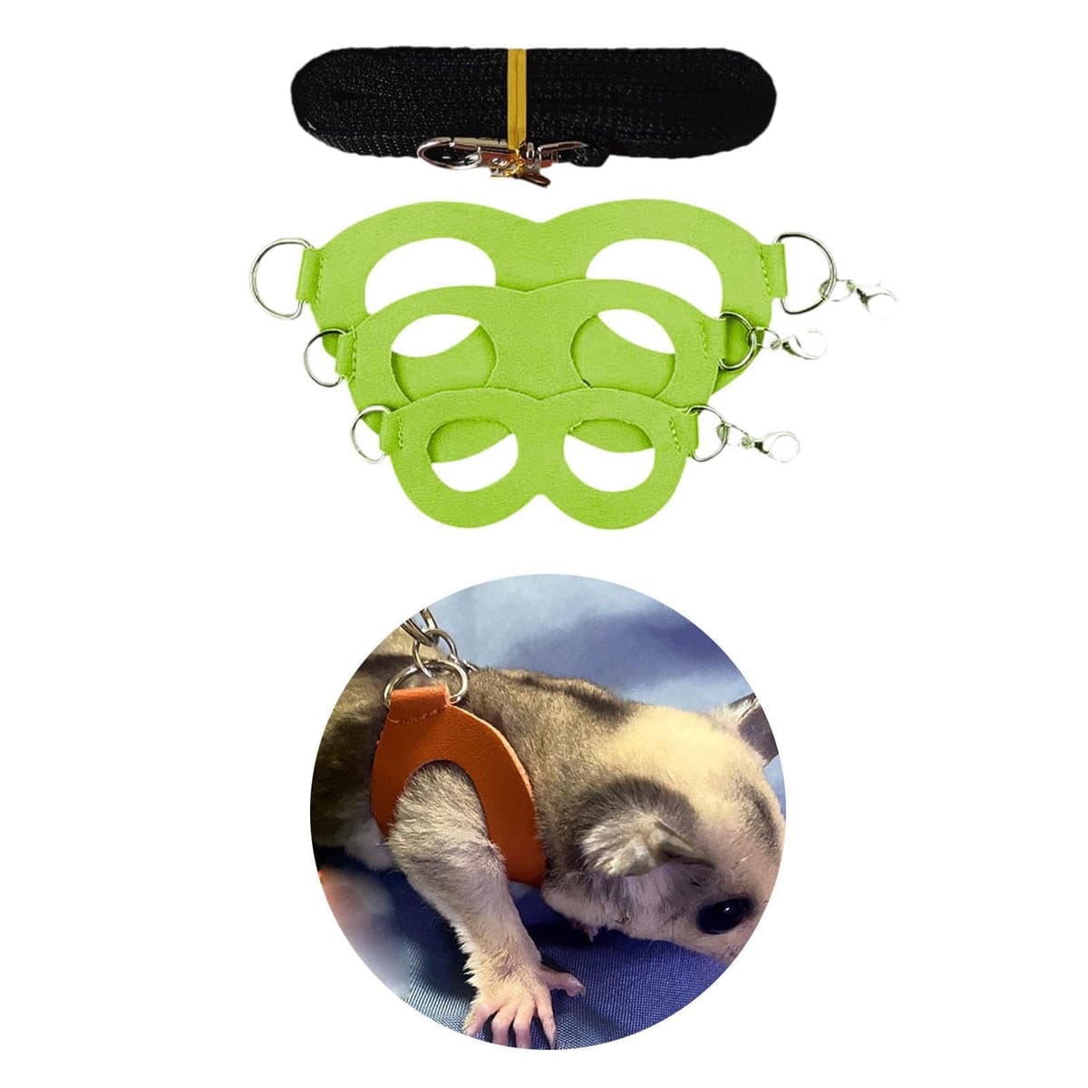 Juego de 3 Arneses Y Correas para Petauros del Azúcar, Chaleco de Entrenamiento para Dragones Barbudos Y Mascotas Pequeñas, Verde — view 4