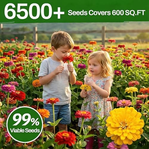 LUOJIBIE Zinnia Seeds, 6500+ Bulk Pack Mixed Colors Large Blooms Seeds, California Giant Zinnia Seeds for 2026, High Germination Non-GMO, Wildflower Seeds for Planting Indoor Outdoor, Open Pollinated — view 4