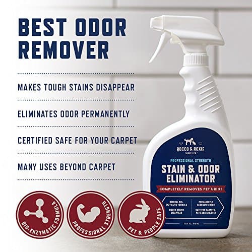 Rocco & Roxie Supply Co. Stain & Strong Odor Eliminator, Enzyme Cleaner, Pet Odor Eliminator for Home - Carpet Stain Remover for Cats & Dog Pee - Urine Destroyer - Carpet Cleaner Spray Clear, 32 Fl Oz — view 4