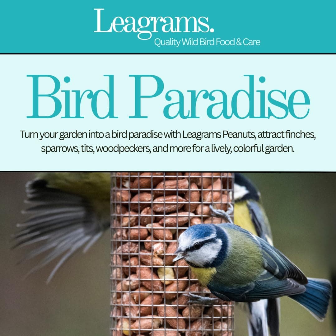 Leagrams Standard Peanuts for Wild Birds, Aflatoxin Tested, High-Energy Whole Peanuts for Garden Birds (12.55kg) Bag — view 5