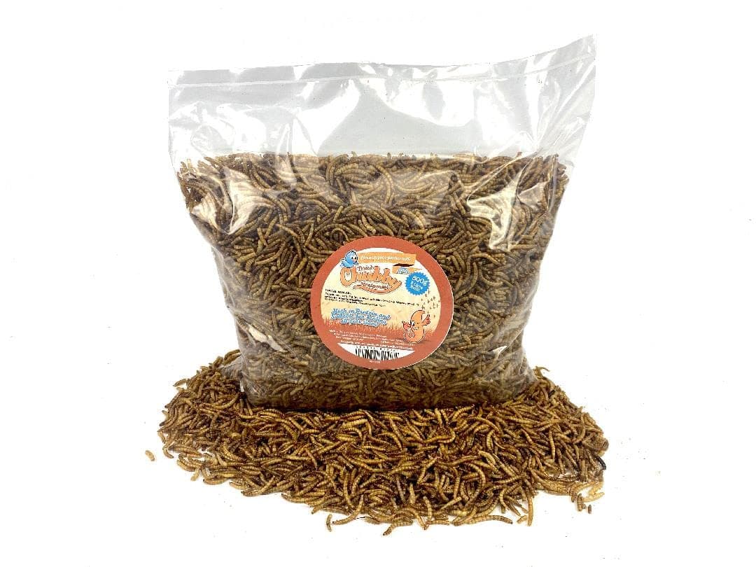 Chubby Mealworms Refill Bag (800g), Dried Mealworms For Wild Birds, Protein Rich Dried Meal Worm, High Energy for Birds, Reptiles, Geckos, Ducks — view 2