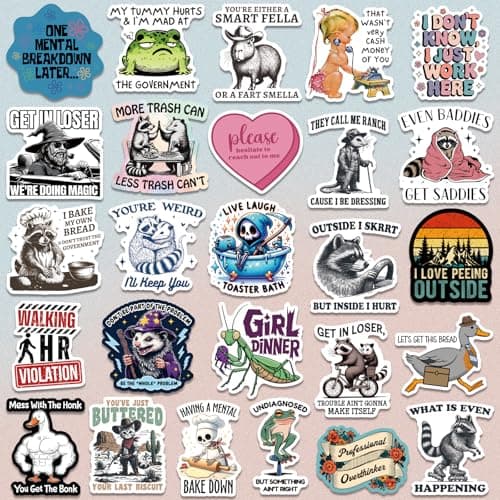 200 PCS Funny Holographic Stickers for Adults, Waterproof Vinyl Sarcastic Meme Decals for Laptop, Water Bottle, Phone, Kindle, Journal, Scrapbook, Bumper, Skateboard, Luggage, No Repeats — view 4