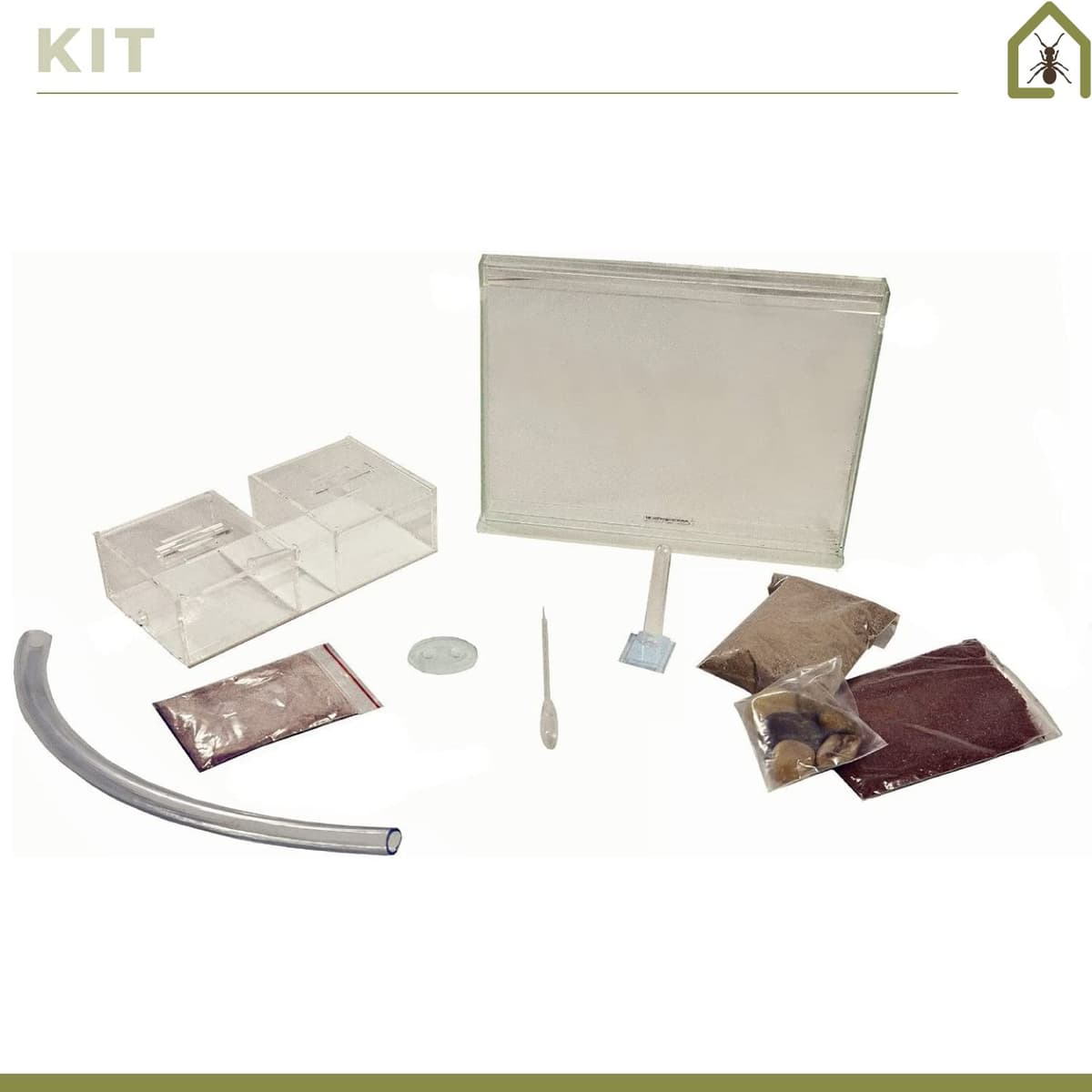 Anthouse.es - Hormiguero Natural de Arena - Kit Medium Hormiguero Acrílico (Sándwich + Caja de Forrajeo) - Granja de Hormigas con Colonia de Hormigas Incluida - 25x20x1,8 cm y 20x12x12 cm — view 3