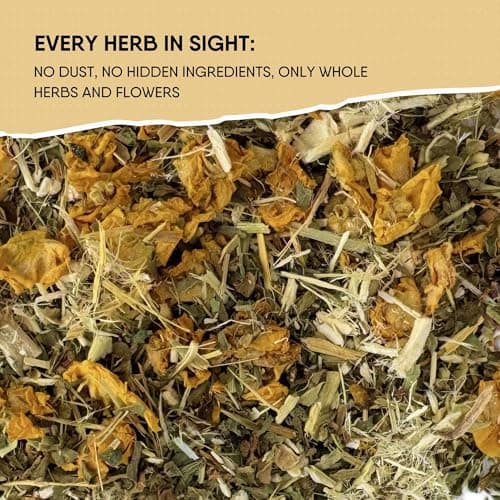 Leckar Cough Season Herbal Tea – Natural Respiratory Support Blend with Mullein, Thyme & Echinacea – Soothes Sore Throat & Hoarse Voice – Lung Health & Immune Boost – Caffeine-Free – 2 oz — view 2