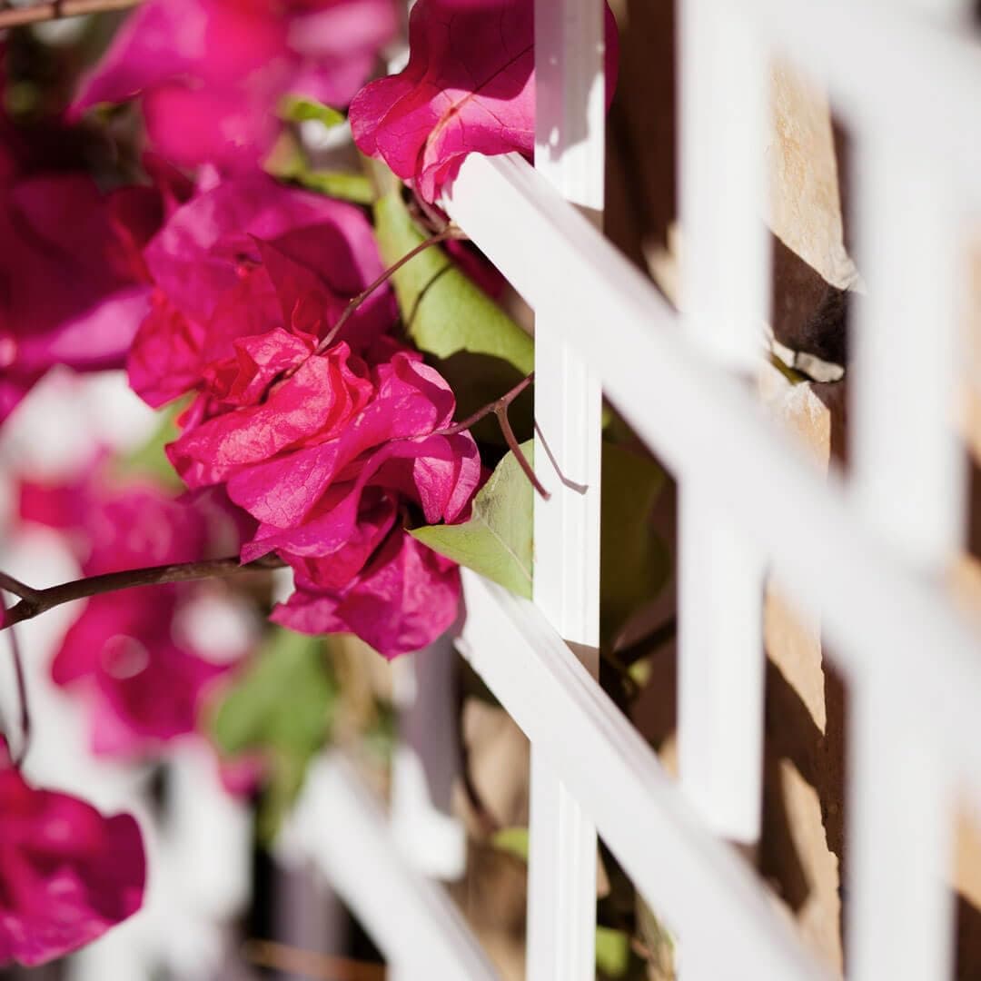 Nortene | Celosia Pvc 18 Mm 1x2 M Blanco | Decoración Exterior | Jardinería | Perfecto Para Ambientes Modernos — view 4