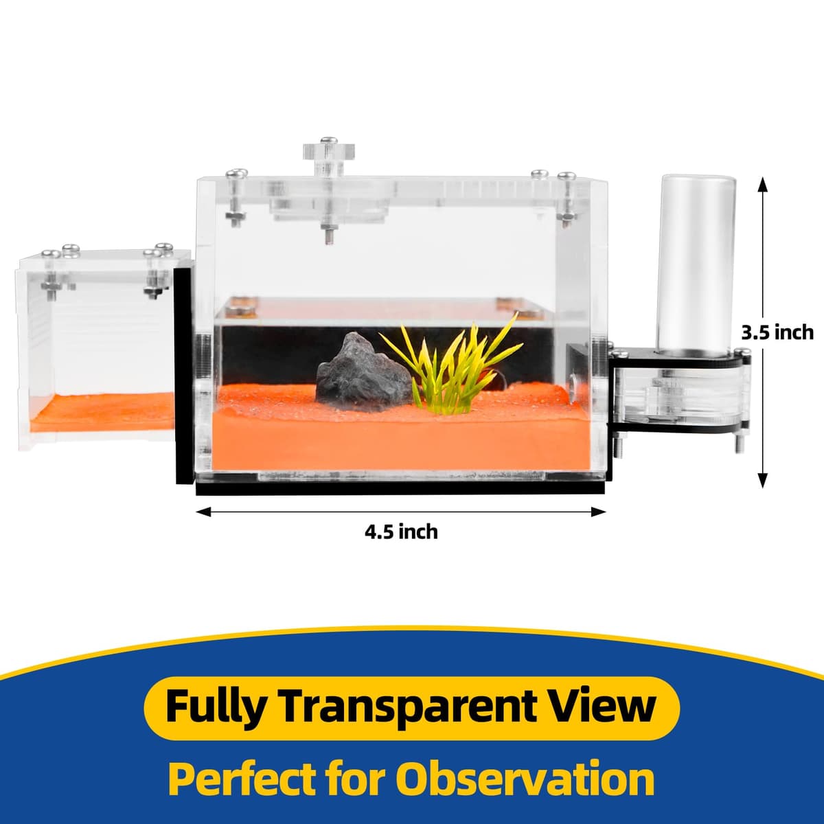Formicarium - Ant Farm Habitat for Live Ants & Queen, Adult Educational Kit for Ant Behavior Study and Learning, Ant Nest — view 5