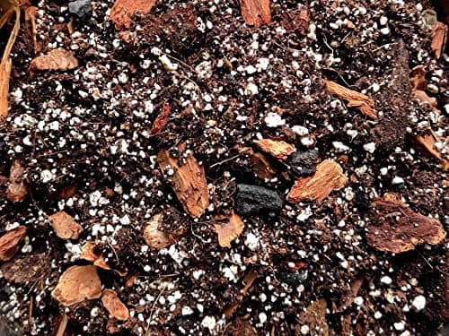 2-litres Orchid Bark Heat-Treated Douglas Fir (Small/Fine Pieces) — view 7