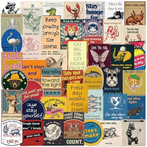 100 PCS Funny Stickers for Adults, Waterproof Vinyl Sticker Pack, Vintage Patchwork Positive + Chaos Meme Negative, Positive + Negative Contrast Decals for Laptop, Water Bottle, Journal