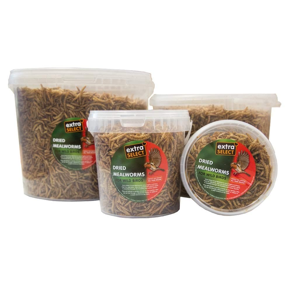 Extra Select Dried Mealworms for Wild Birds: Protein Rich Wild Bird Food for Robins and Wildlife - Meal Worms for Garden Birds - 500 ml — view 4
