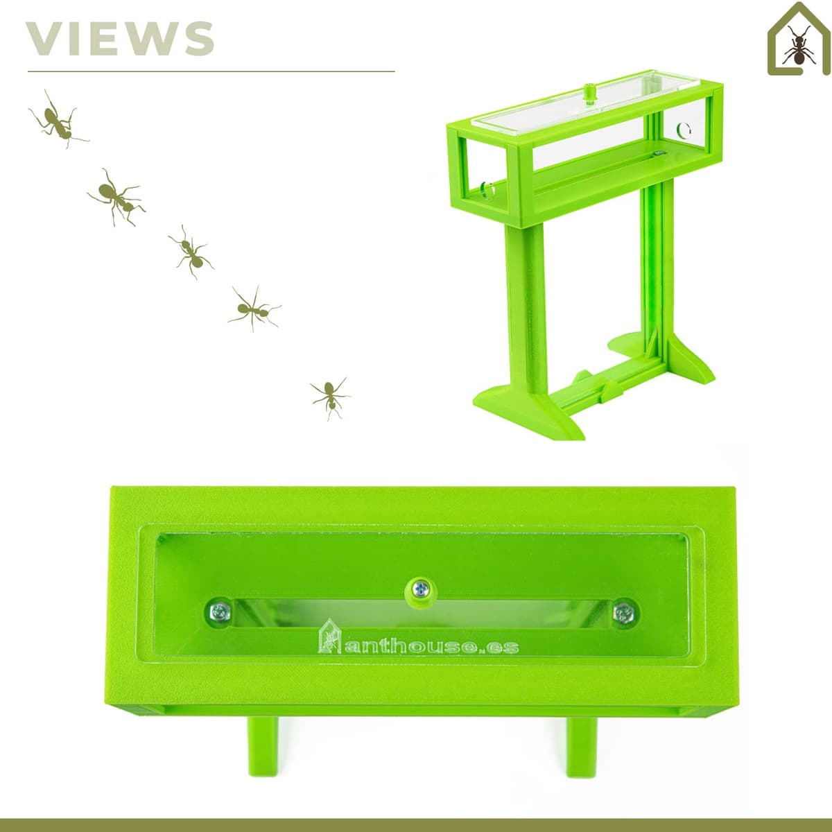 Anthouse.es - Kit Hormiguero Acrílico de Arena en Forma de T 3D - Sándwich y Caja de Forrajeo - Hormiguero con Hormigas Vivas Incluidas (Reina, Obreras, Huevos y Larvas) - Color Gris — view 4