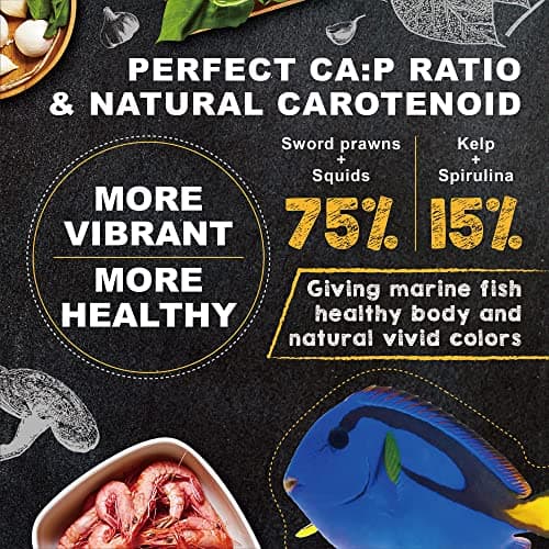 Ultra Fresh Marine Fish Food, 75% Sword Prawns + Squids, Natural Protein, Color Enhancement, for Small Saltwater Fish, Marine Shrimp Patties S 1.86oz
