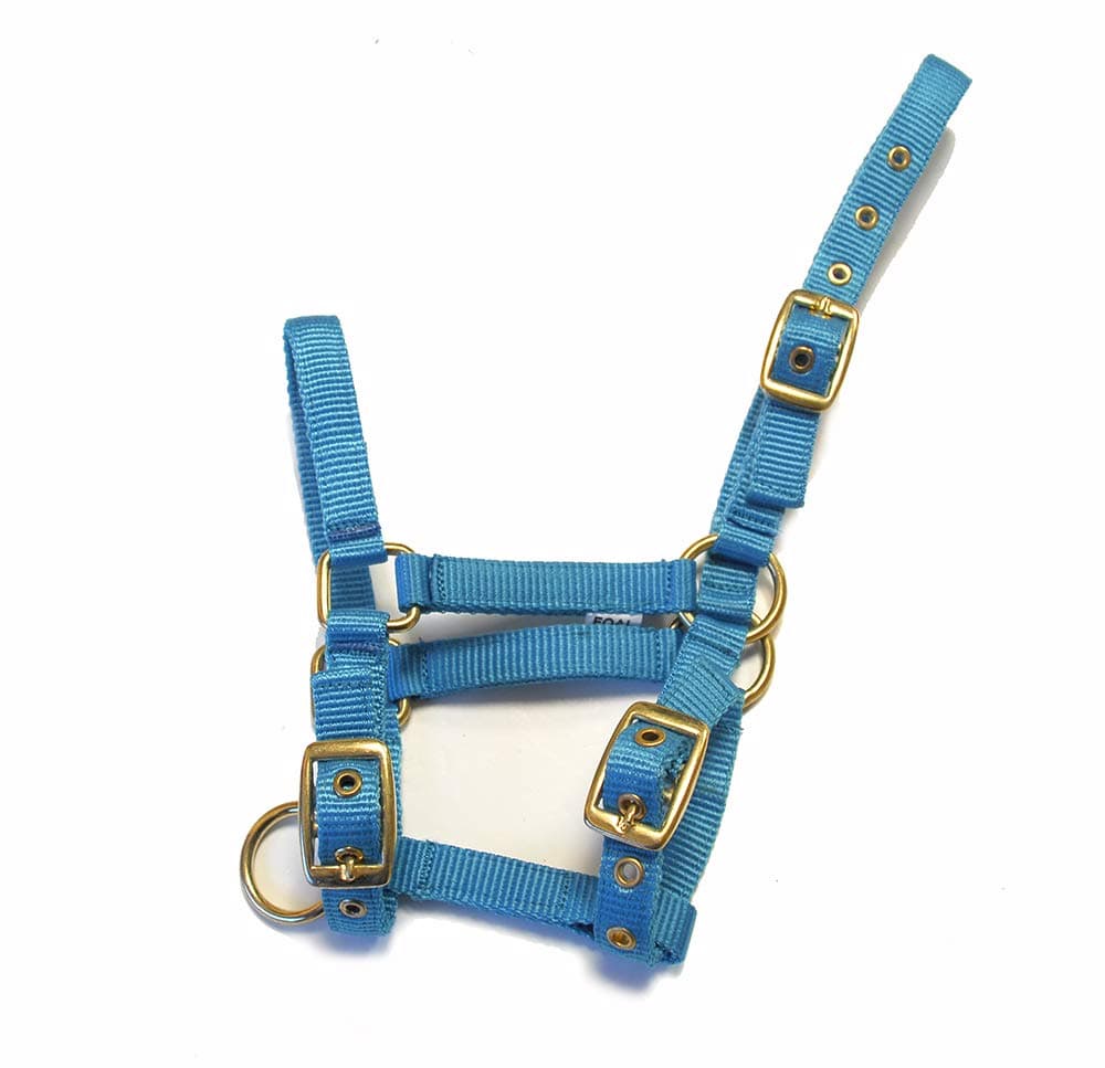 Rhinegold Collar de Nylon Potro — view 3
