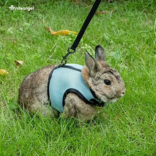 Niteangel Adjustable Soft Harness with Elastic Leash for Rabbits (XL, Blue) — view 5