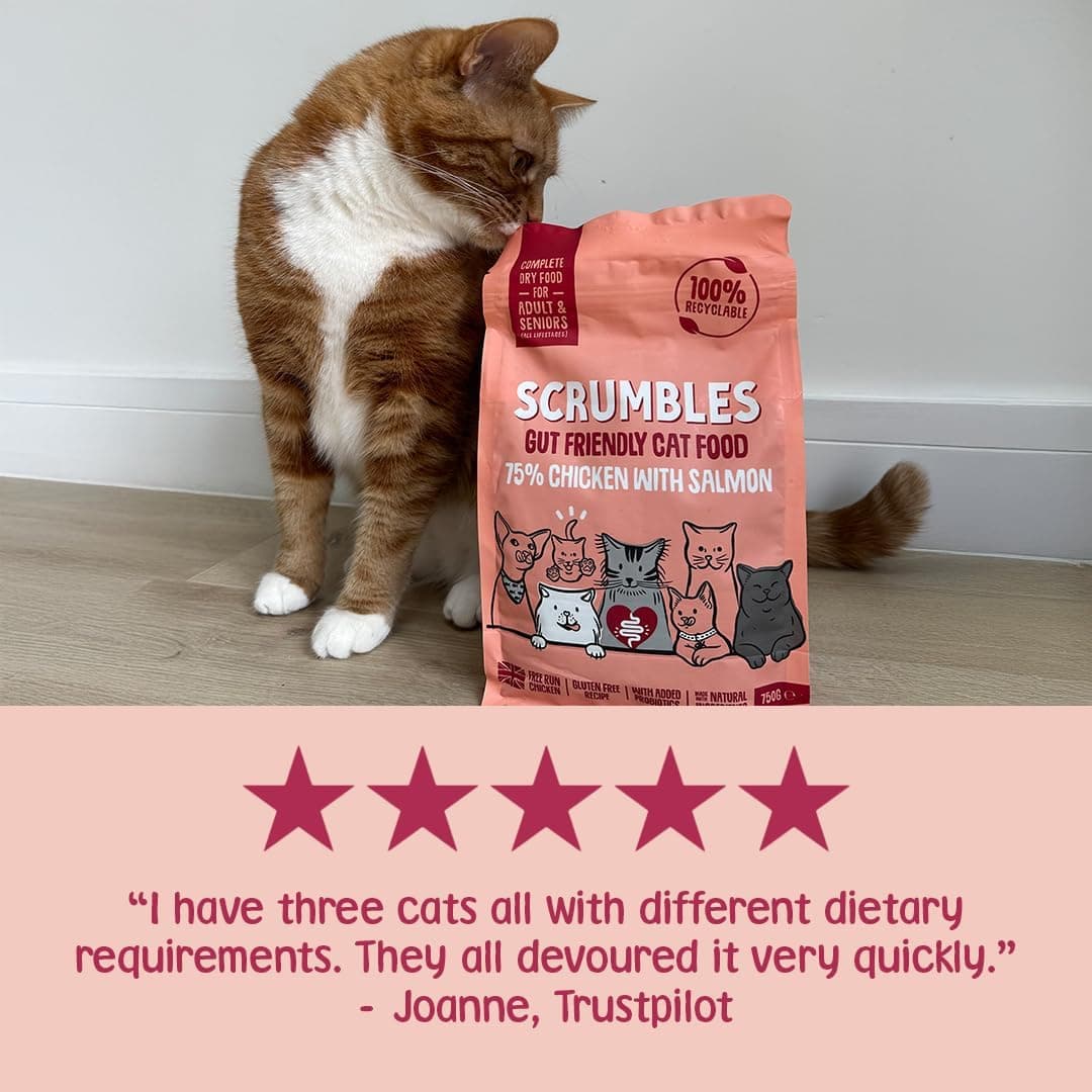 Scrumbles All Natural Dry Cat Food With 75% Chicken and Fresh Salmon, High Protein Food for Adults And Seniors, 750 g Salmon - Adult 750 g (Pack of 1) — view 5