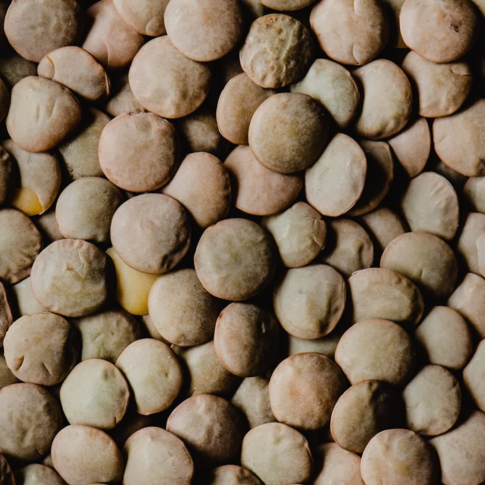 Santa Teresa - Lenteja Pardiña - Categoría EXTRA- 1Kg — view 3