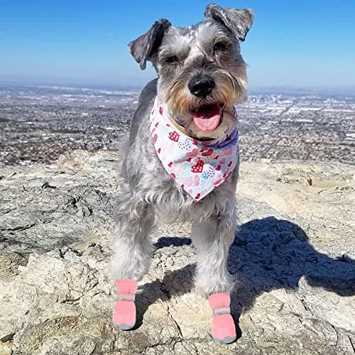 QUMY 4PCS Dog Shoes for Small Dogs, Hot Pavement Summer Puppy Dog Boots & Paw Protectors with Soft Anti-Slip Rubber Sole, Mesh Breathable Dog Booties for Hardfloors, Walking Running Pink Size 2 — view 5