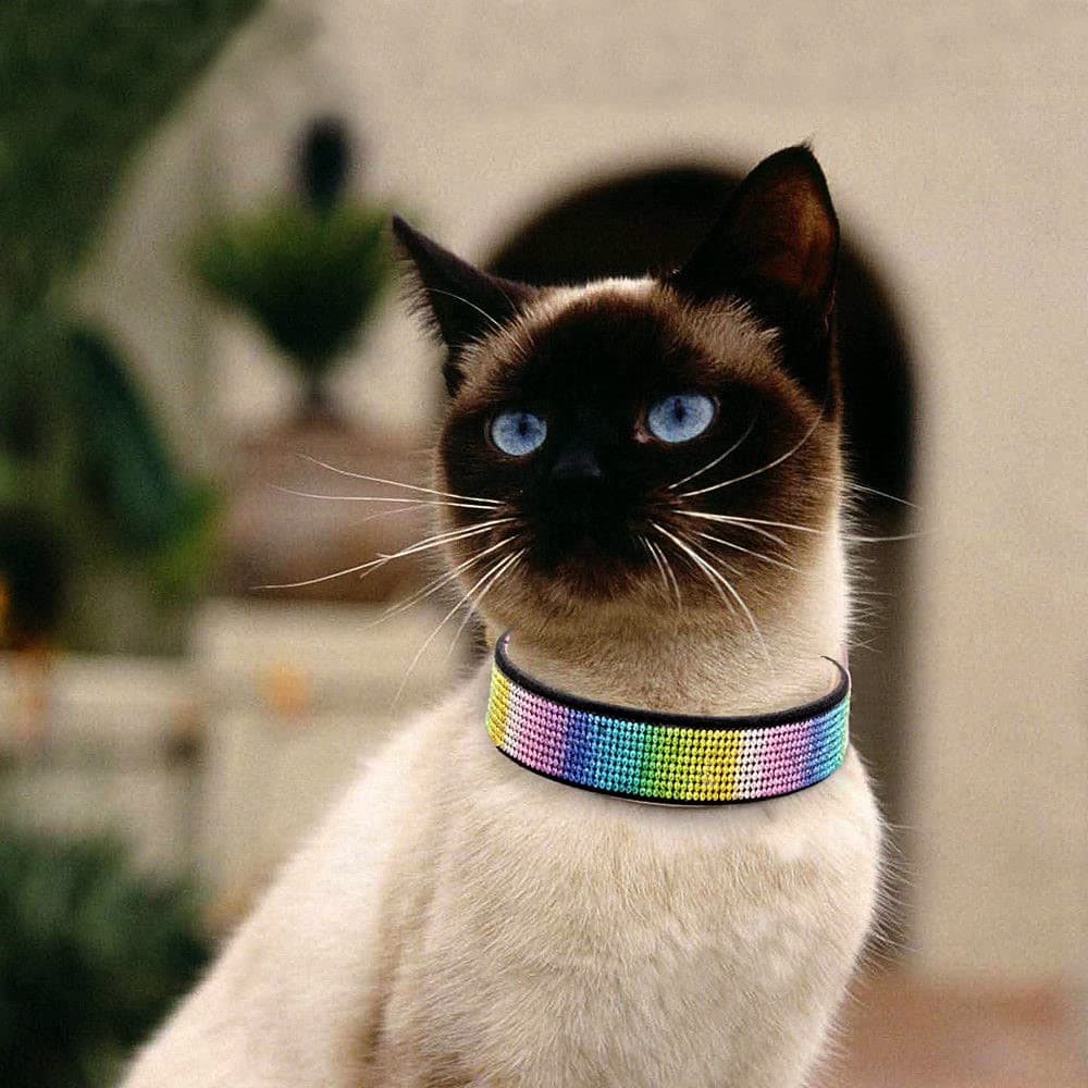 Cute Dazzling Sparkling Elegant Fancy Soft Suede Leather Bling Rhinestone Crystal Jeweled Pet Cat Dog Puppy Collar Dog Leash Combo Set (S, Black-2) — view 6