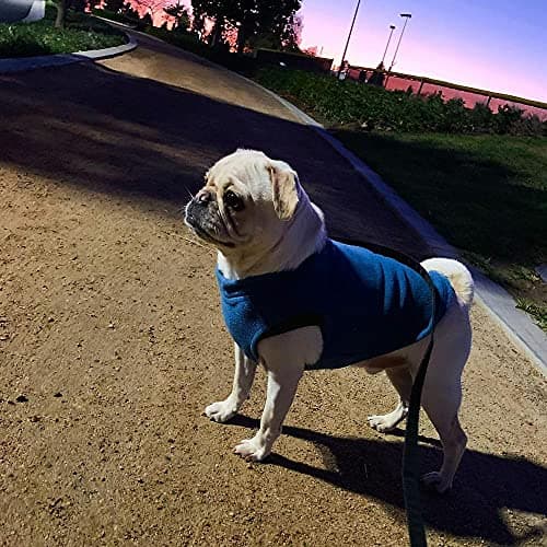Gooby - Stretch Fleece Vest, Pullover Fleece Vest Jacket Sweater for Dogs, Steel Blue, Medium — view 4